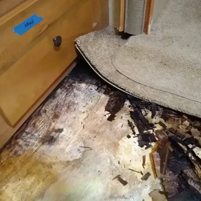 Wood Floor Water Damage in Hanover, MD